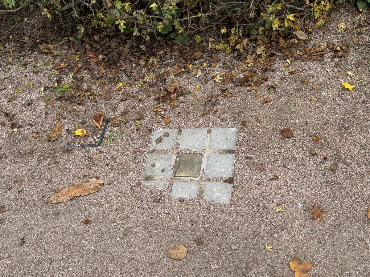 Stolperstein | Foto: © Johanna Büchner