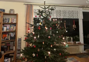 Weihnachtsbaum | Foto: © Johanna Büchner
