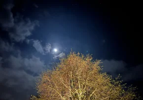 Nachthimmel | Foto: © Johanna Büchner